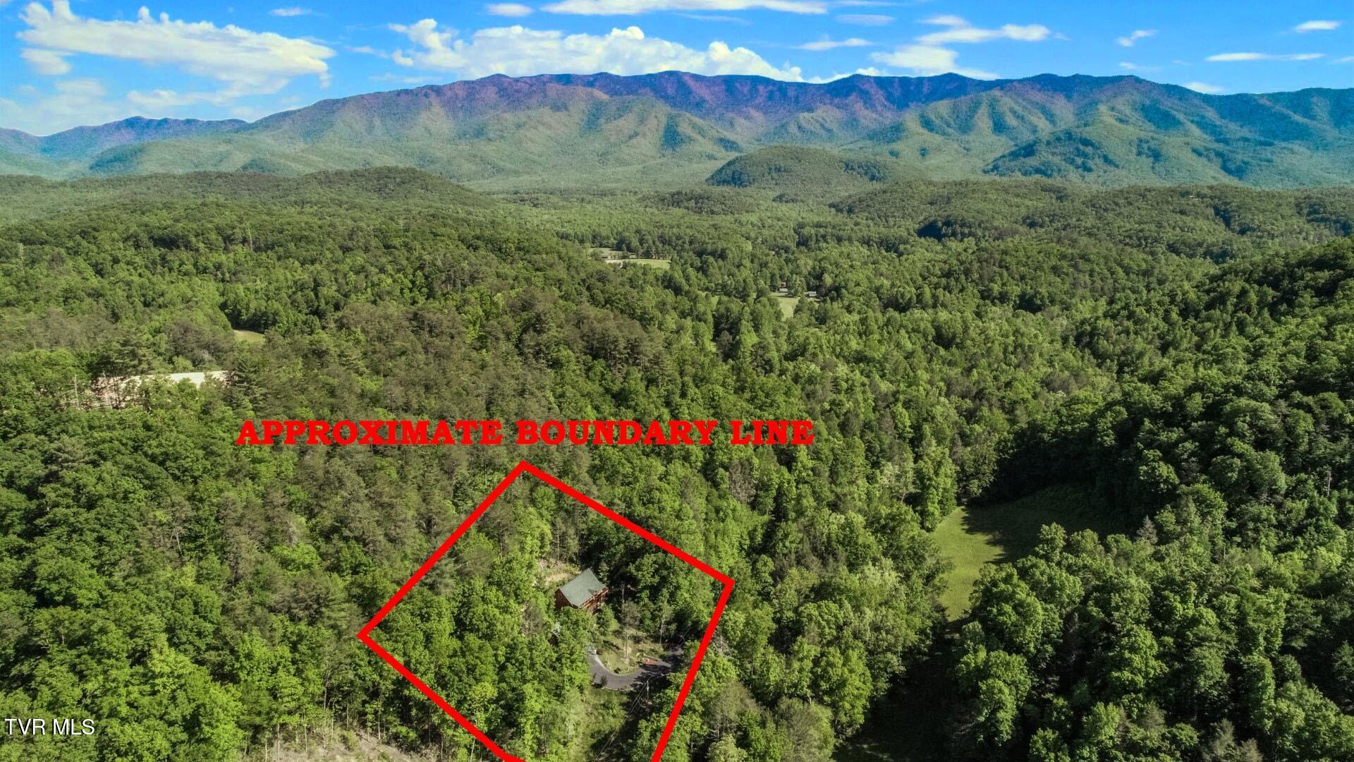 718 Rocky Flats Road Cosby, TN 37722 - Photo 4 of 45 4.5