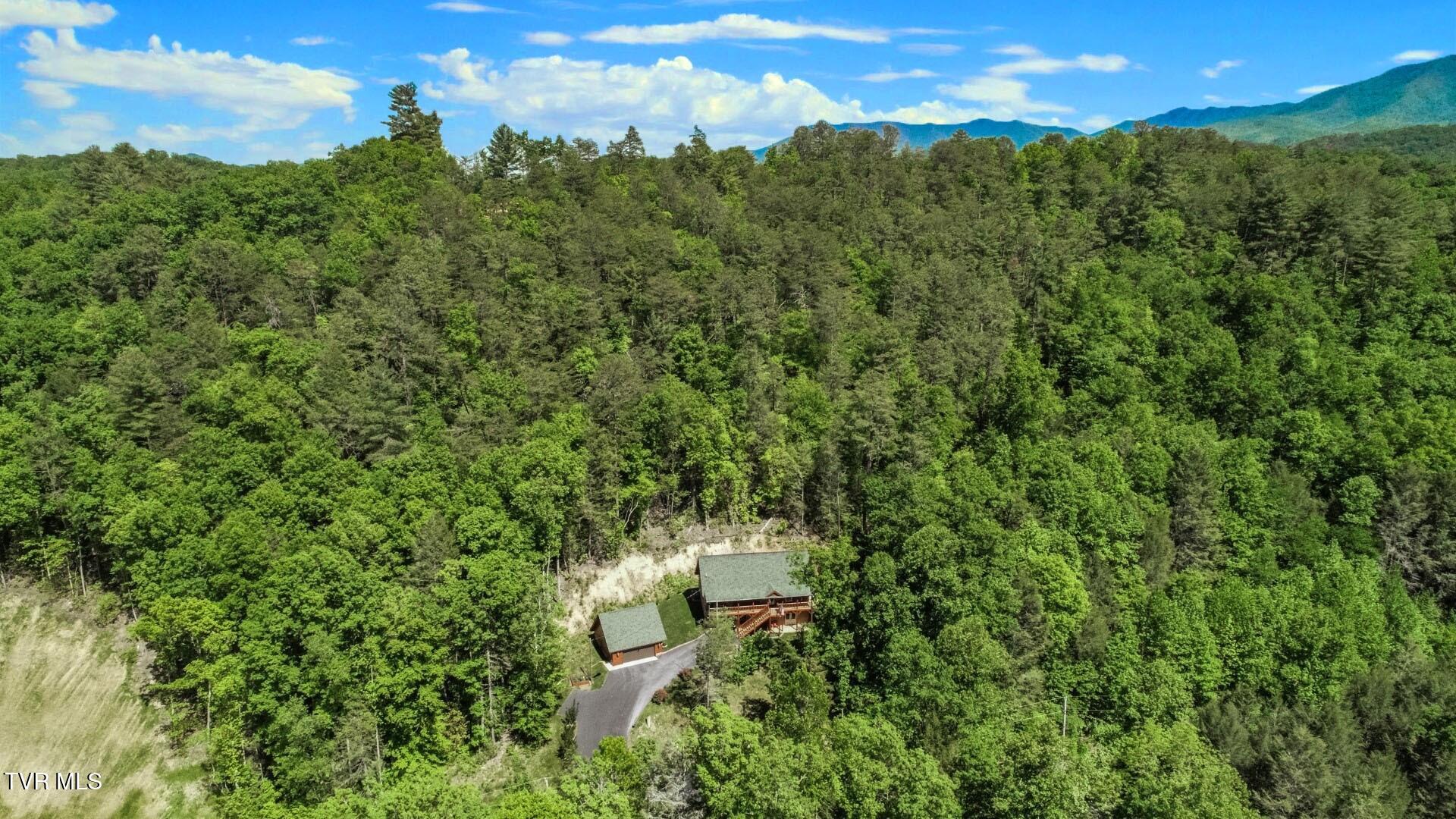 718 Rocky Flats Road Cosby, TN 37722 - Photo 43 of 45 39