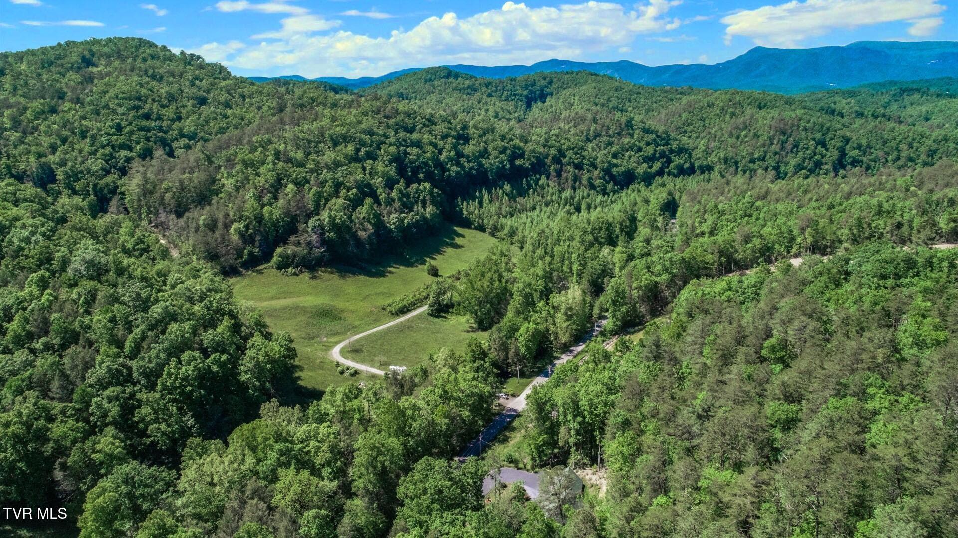 718 Rocky Flats Road Cosby, TN 37722 - Photo 44 of 45 40