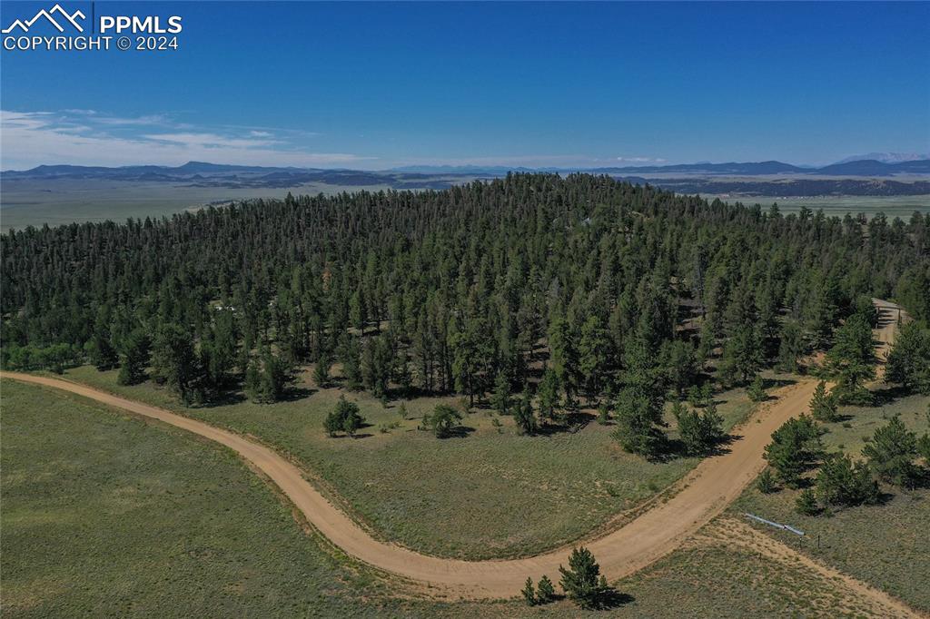 616 Summit Road Hartsel, CO 80449 - Photo 49 of 50 a view of a outdoor space