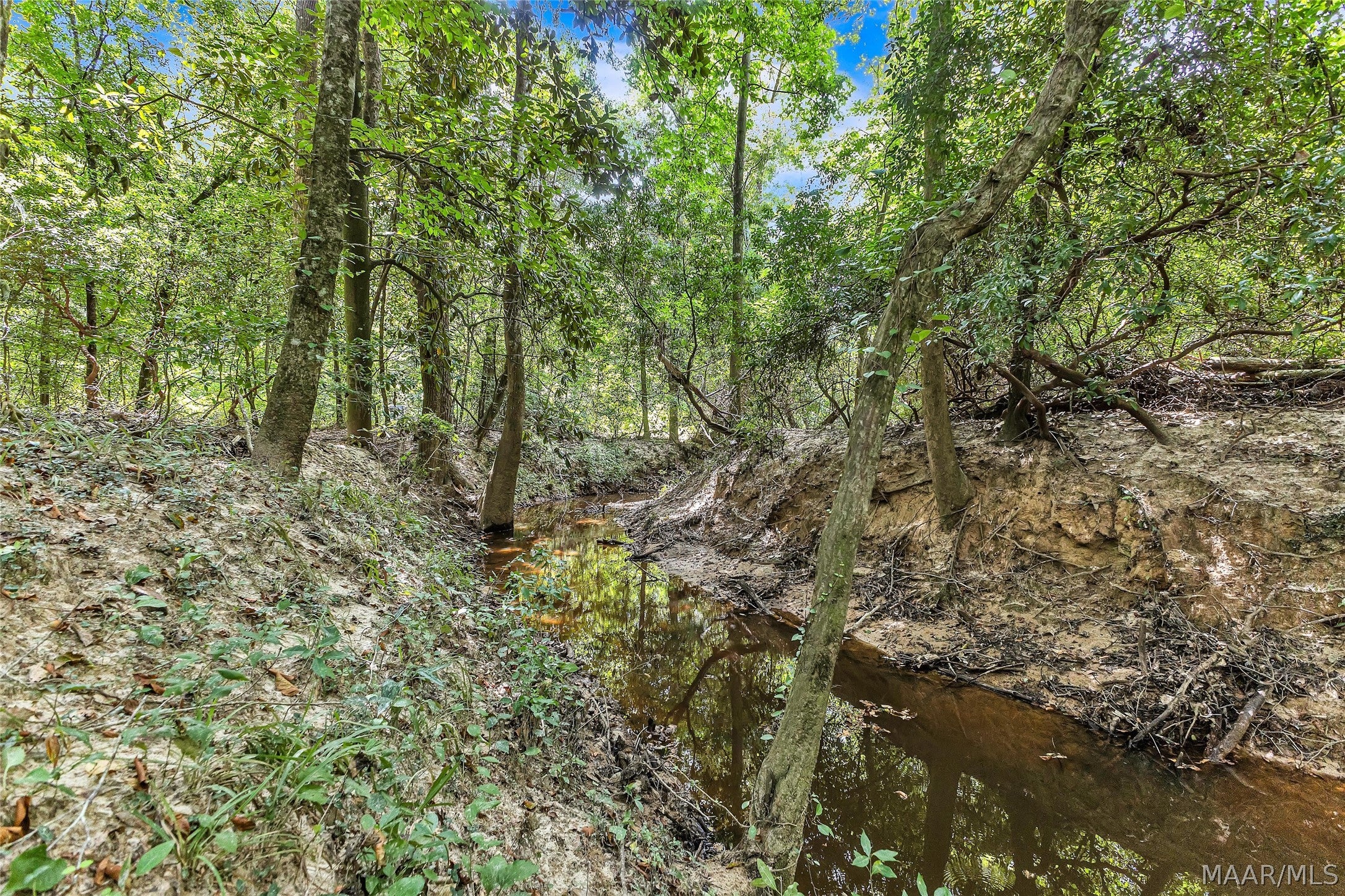 0 Halso Mill Road Greenville, AL 36037 - Photo 23 of 26 Gallery Image 23