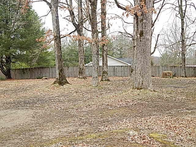 1135 Stinson Road Jamestown, TN 38556 - Photo 4 of 25 mowed and land