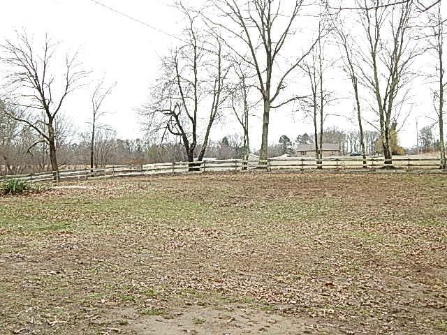 1135 Stinson Road Jamestown, TN 38556 - Photo 5 of 25 nice land