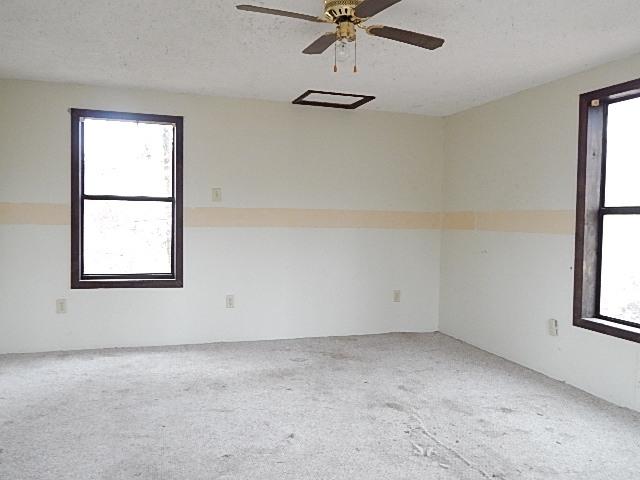 1135 Stinson Road Jamestown, TN 38556 - Photo 7 of 25 cleaned out