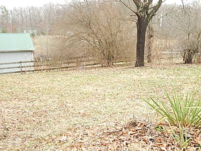 1135 Stinson Road Jamestown, TN 38556 - Photo 10 of 25 DSCN7397