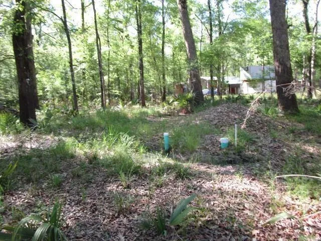 $32,500 | 0 Cross Bayou, Deville, LA 71328