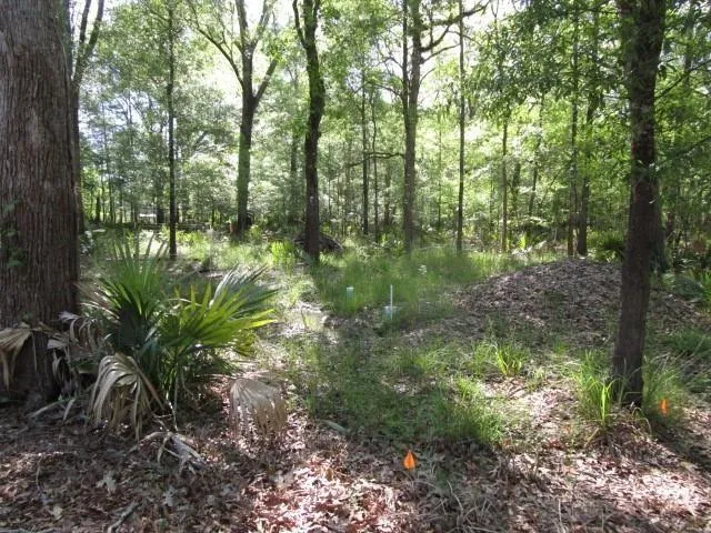 $32,500 | 0 Cross Bayou, Deville, LA 71328