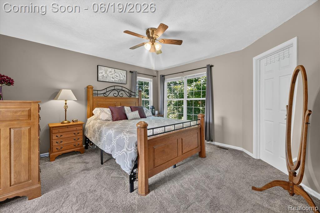 5900 Carter Court Howell, MI 48843 - Photo 24 of 72