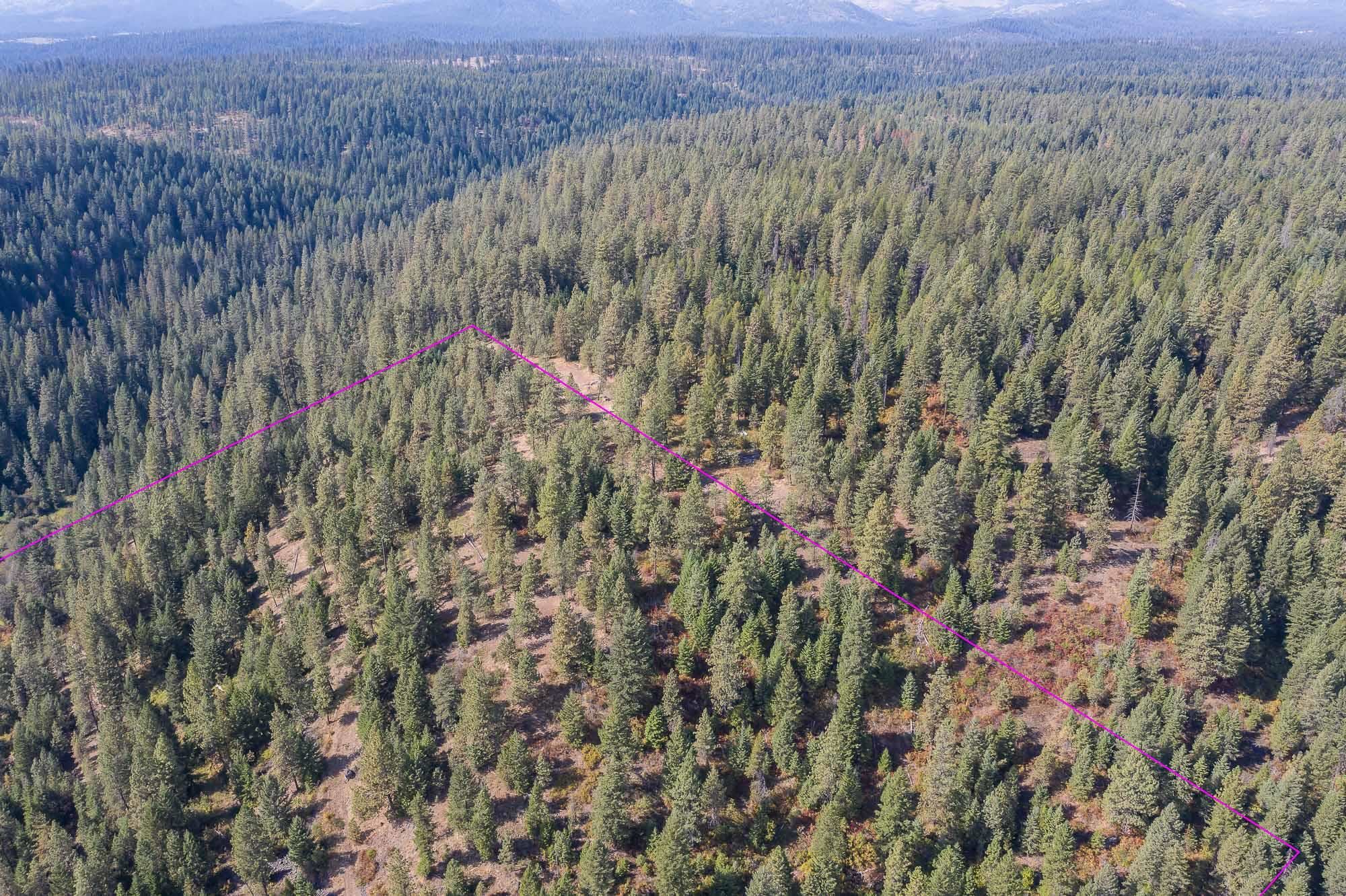 4747 Rose Hill Road Springdale, WA 99173 - Photo 4 of 13