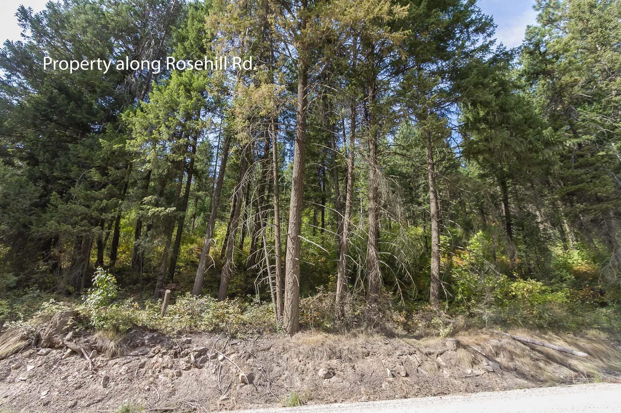4747 Rose Hill Road Springdale, WA 99173 - Photo 6 of 13