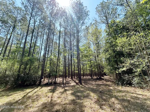 $115,000 | 379 Mill Creek Road, Minnesott Beach, NC 28510