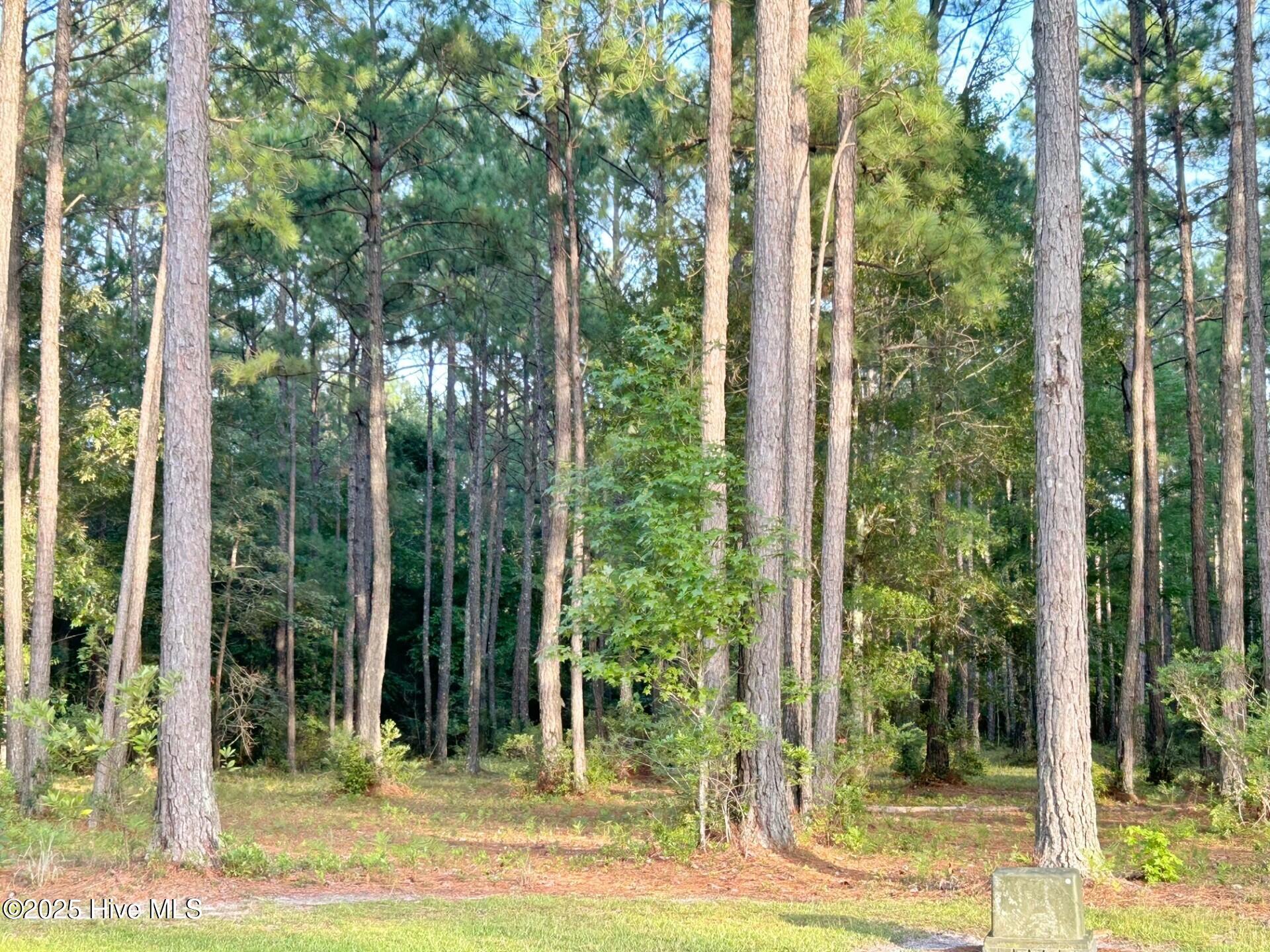 379 Mill Creek Road Minnesott Beach, NC 28510 - Photo 4 of 33 lot 132 pic
