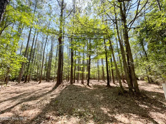 $115,000 | 379 Mill Creek Road, Minnesott Beach, NC 28510