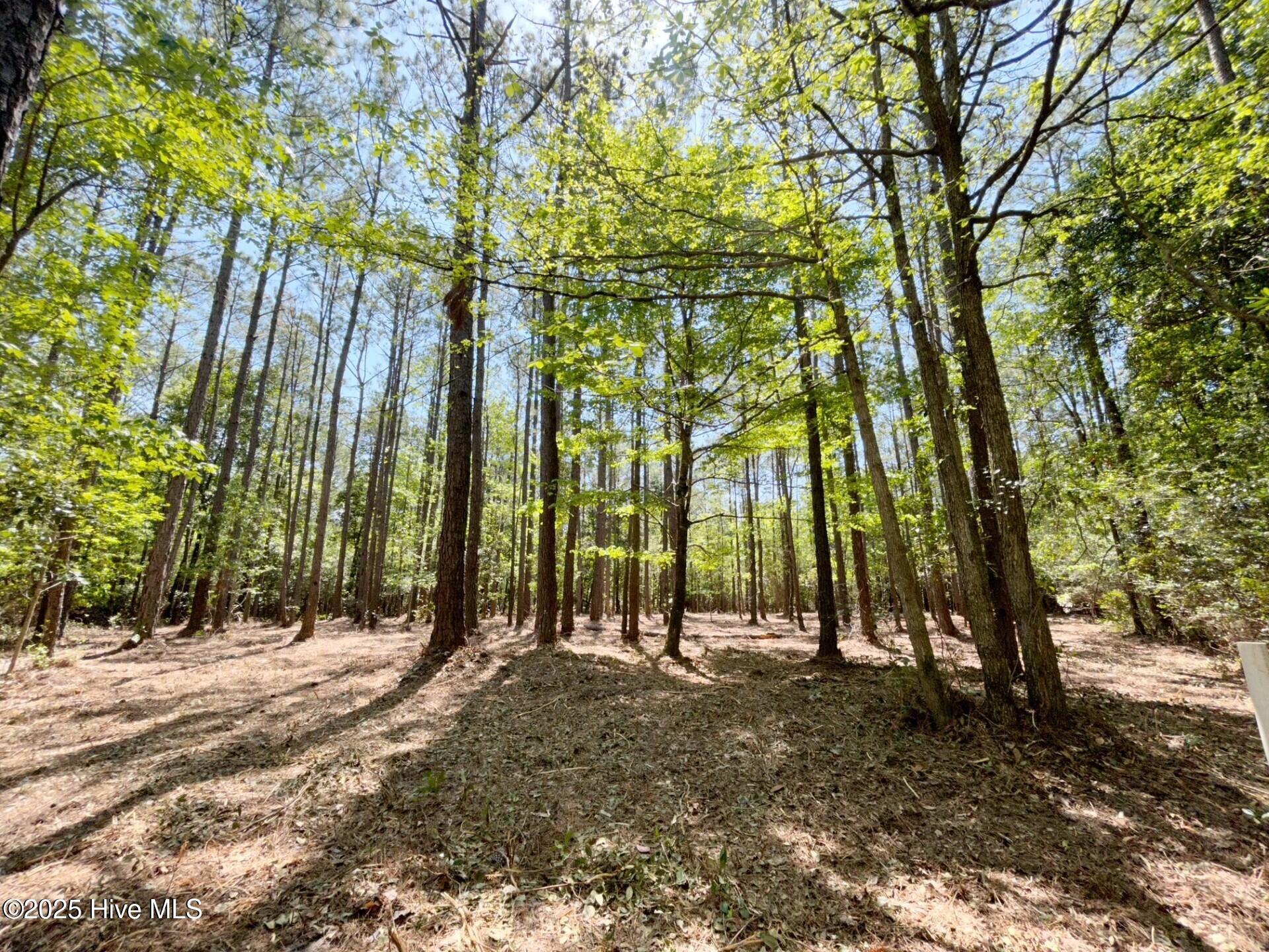 379 Mill Creek Road Minnesott Beach, NC 28510 - Photo 4 of 31 lot 132 pic 3