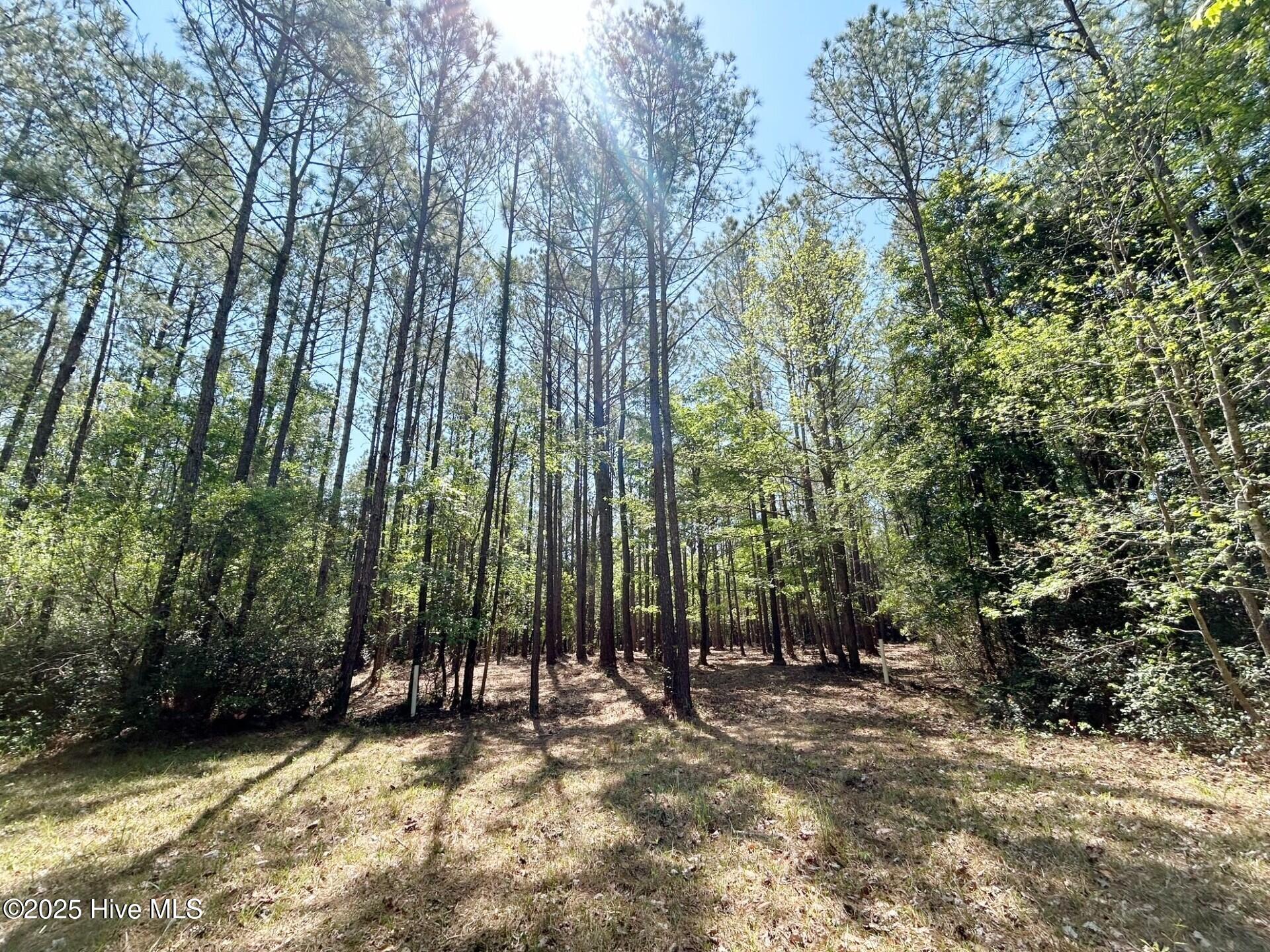 379 Mill Creek Road Minnesott Beach, NC 28510 - Photo 5 of 33 lot 132 pic 2