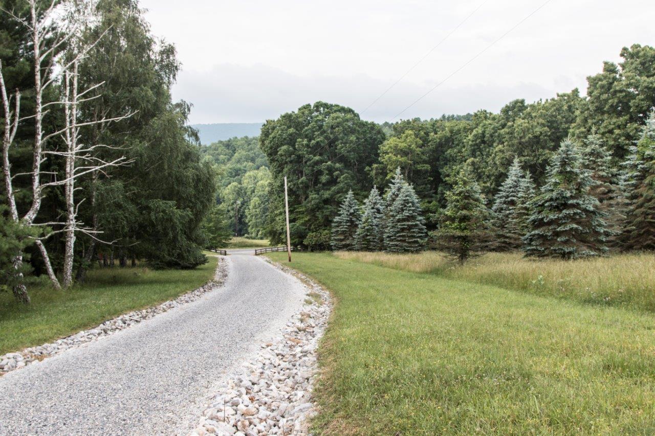 441 Dusty Rock Road Northwest Riner, VA 24149 - Photo 14 of 82 a view of a yard with a large trees