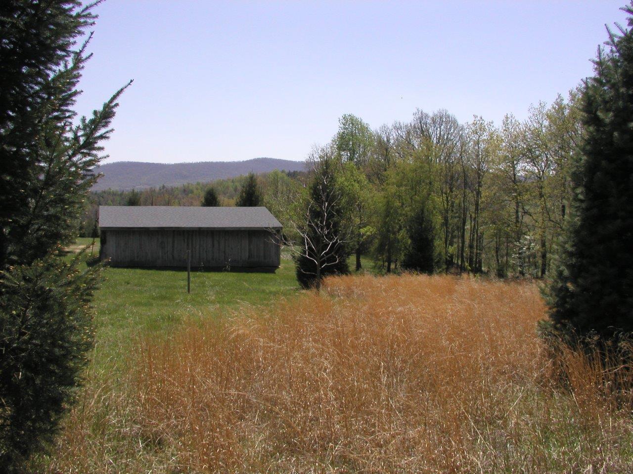 441 Dusty Rock Road Northwest Riner, VA 24149 - Photo 50 of 82 a view of a field with a tree in the background