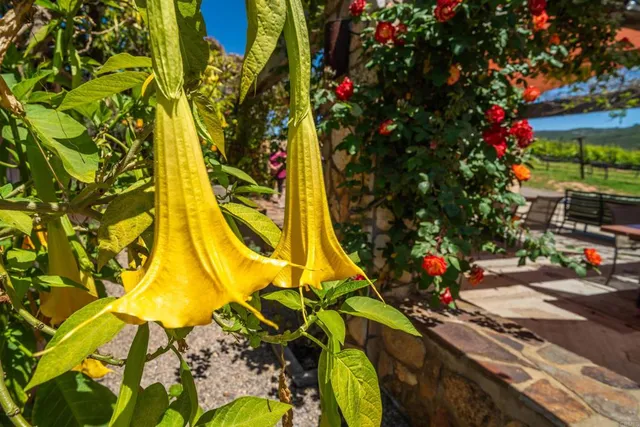 $950,000 | 25260 East Old Julian Highway, Ramona, CA 92065