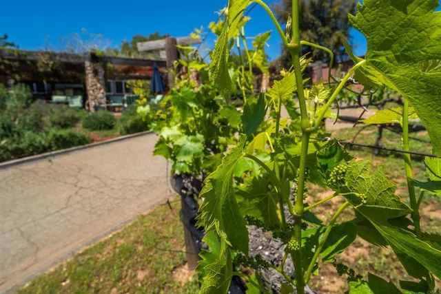 $950,000 | 25260 East Old Julian Highway, Ramona, CA 92065