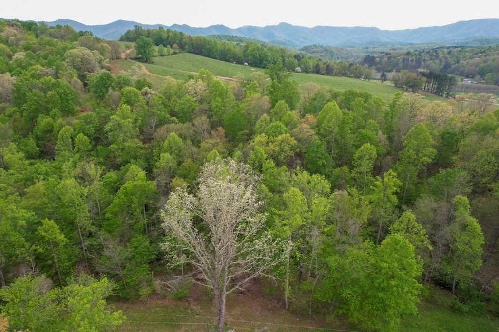 268 Hillside Road Woolwine, VA 24185 - Photo 41 of 44 Gallery Image 41