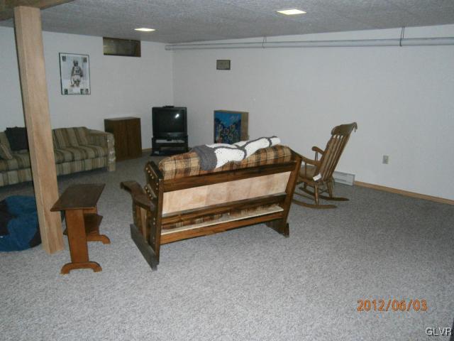 3940 Eagle Circle Slatington, PA 18080 - Photo 9 of 15 family room w/flu for propane stove (stove incl. n