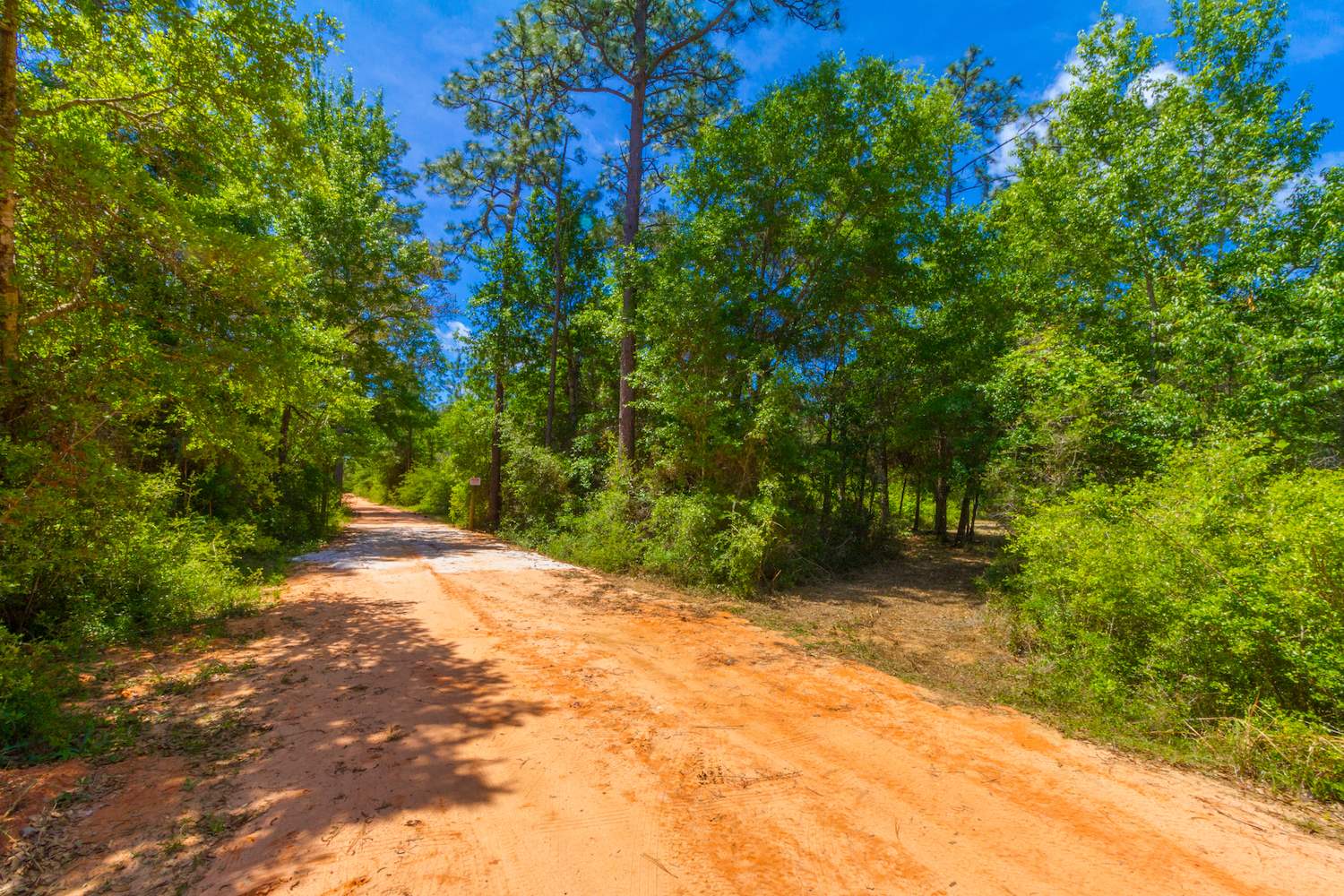 8844 Red Fish Pt Road Lillian, AL 36549 - Photo 16 of 16