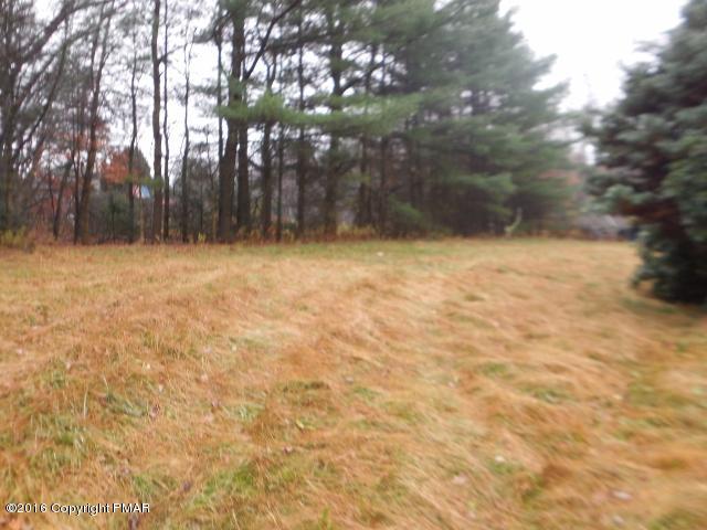 706 Jonas Road Effort, PA 18330 - Photo 4 of 15 DSCN6474 (640x480)