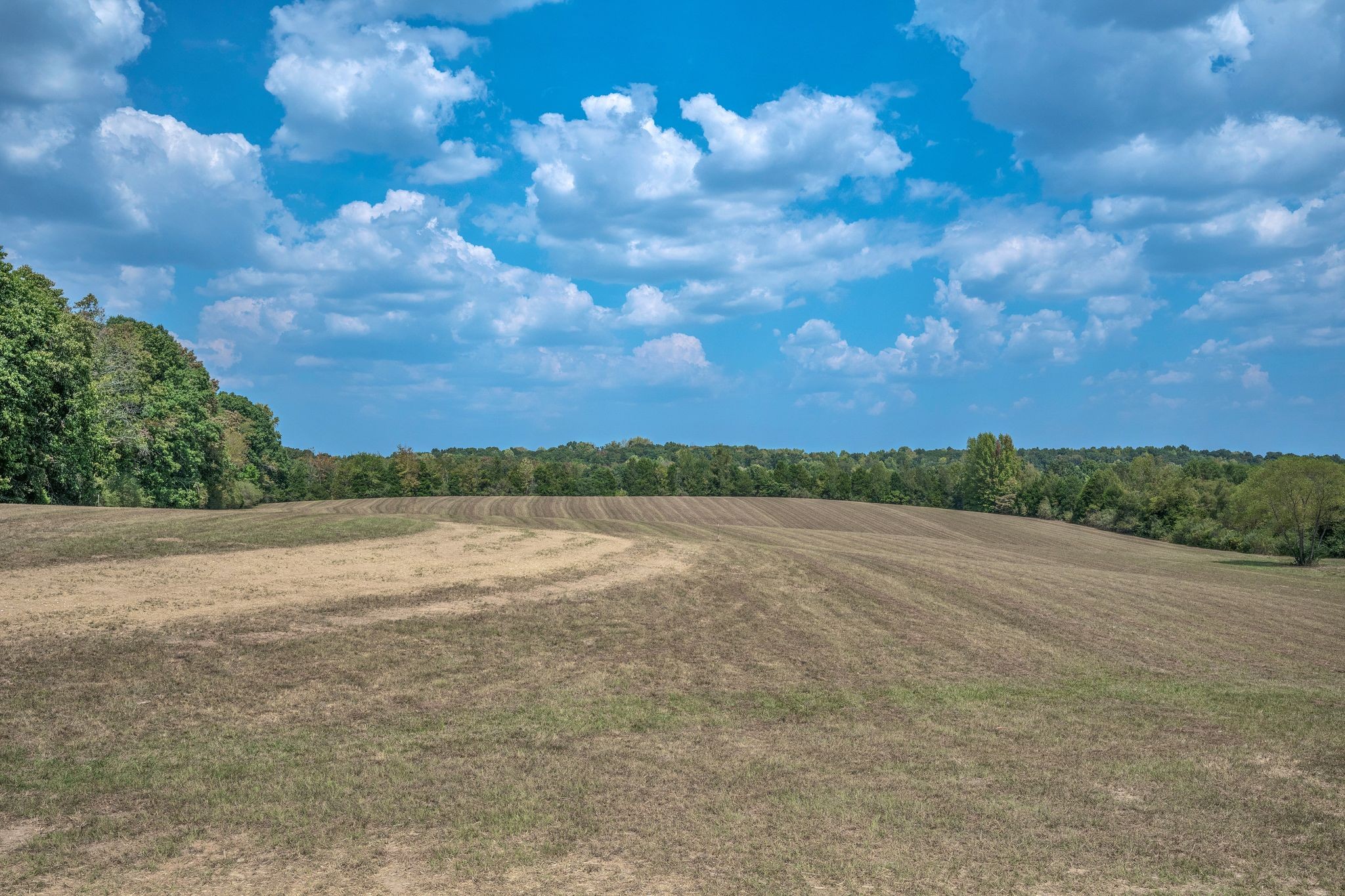 1151 Oak Grove Road Dickson, TN 37055 - Photo 27 of 29