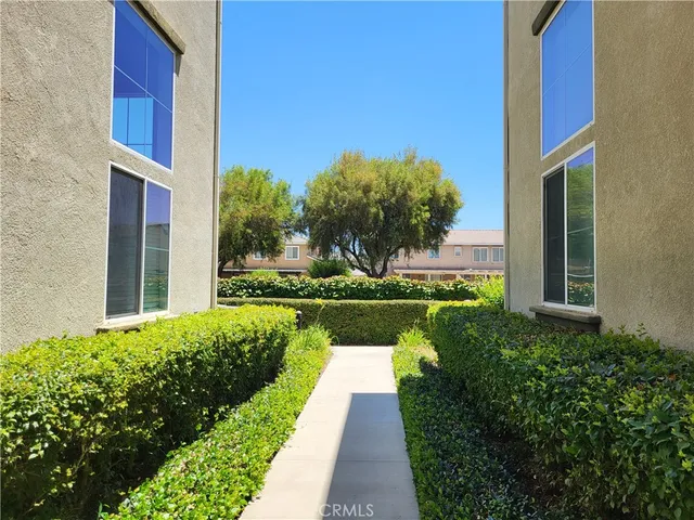a view of a garden with potted plants