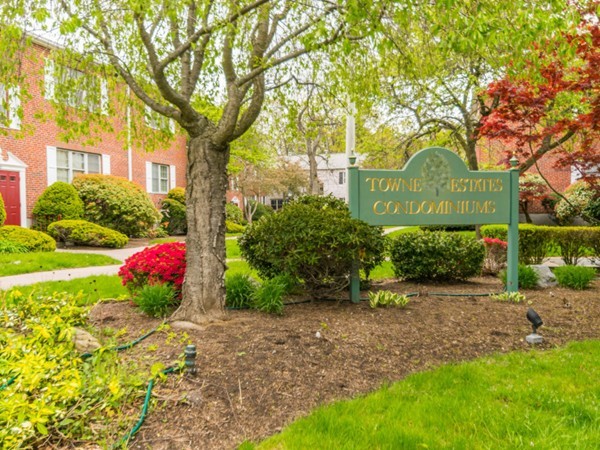 185 Lake Shore Road, Unit 3 Boston, MA 02135 - Photo 1 of 9 Gallery Image 1