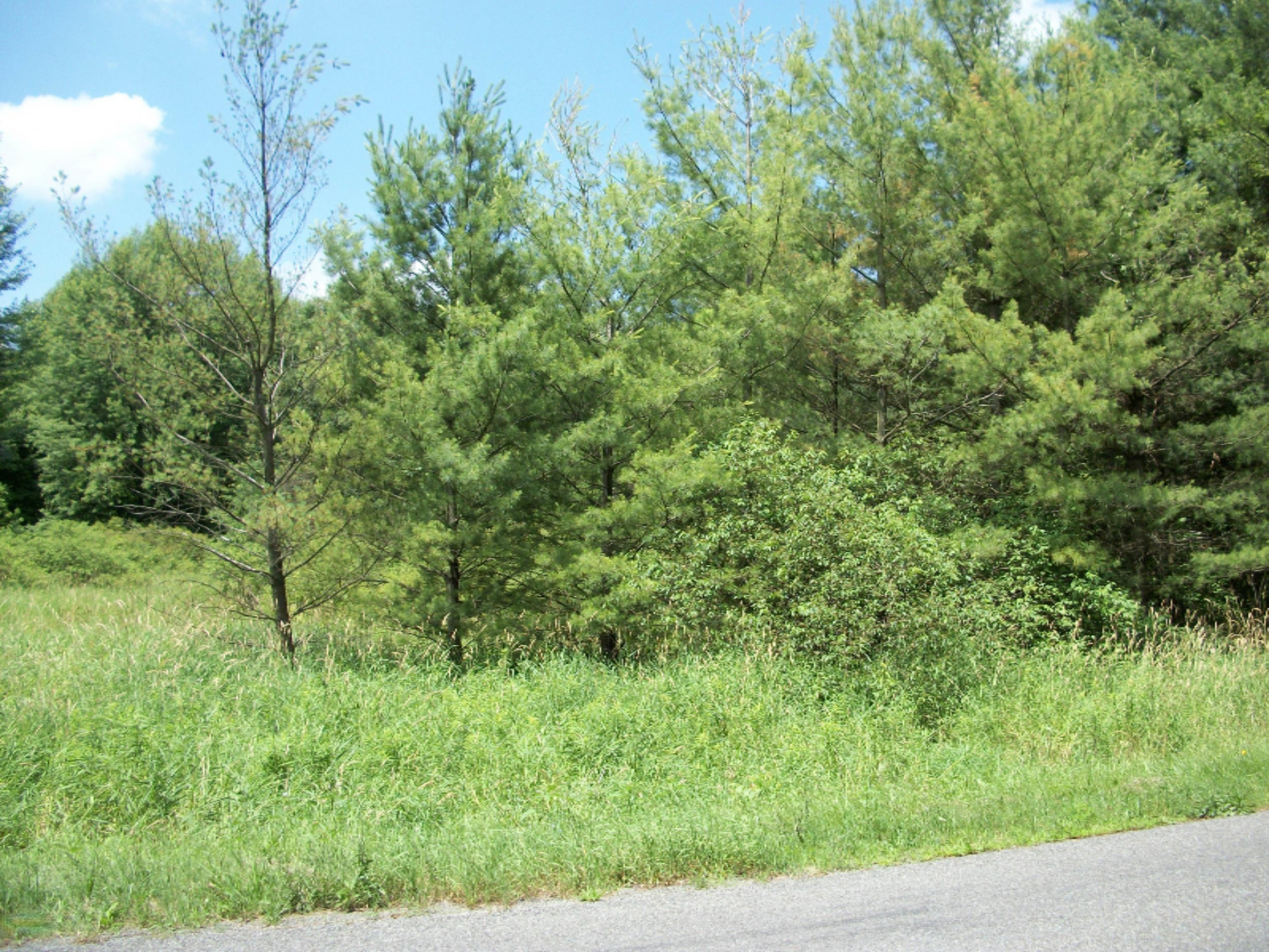Johnson Road Coloma, MI 49038 - Photo 1 of 3 100_0843