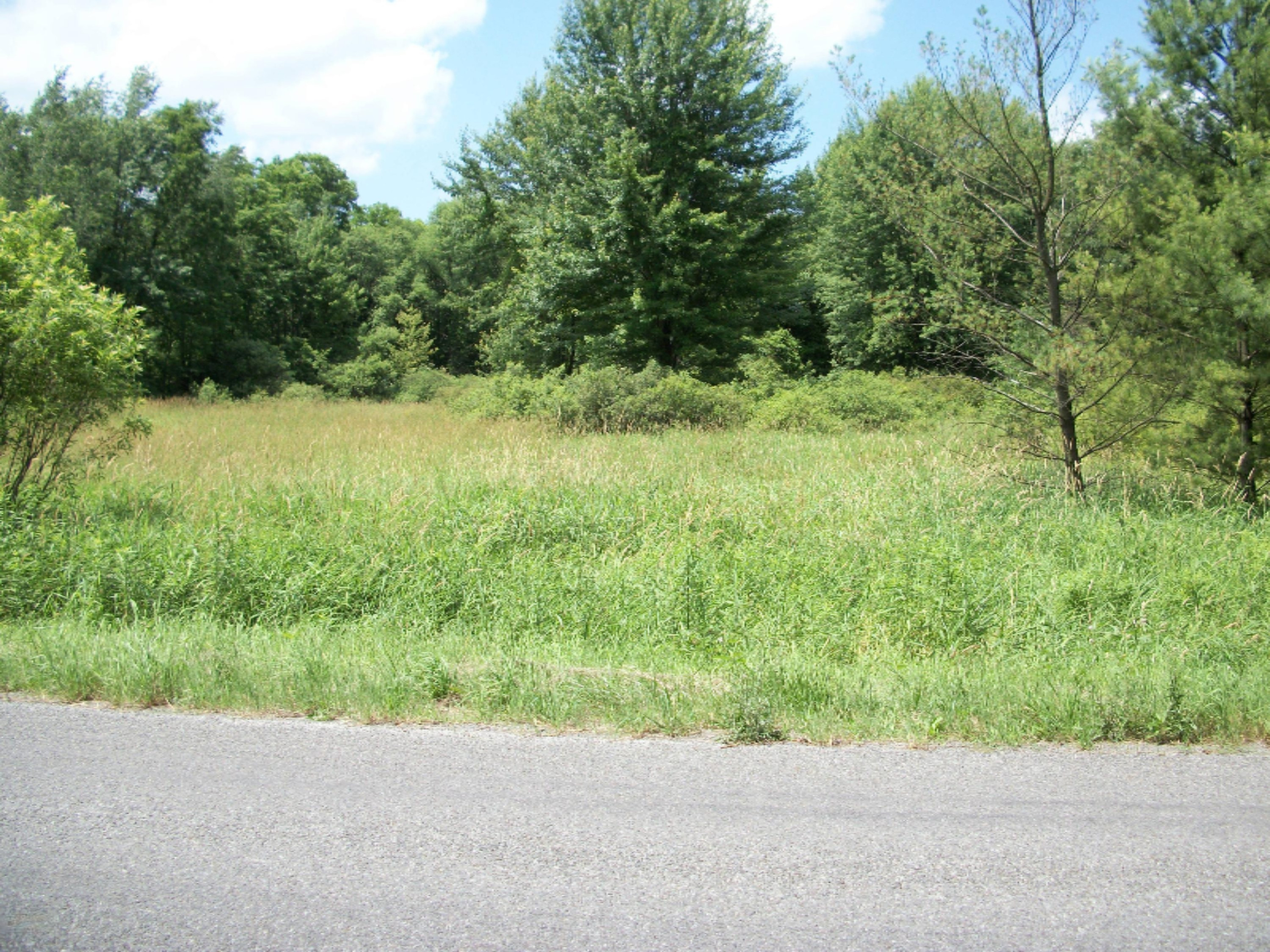 Johnson Road Coloma, MI 49038 - Photo 2 of 3 100_0842