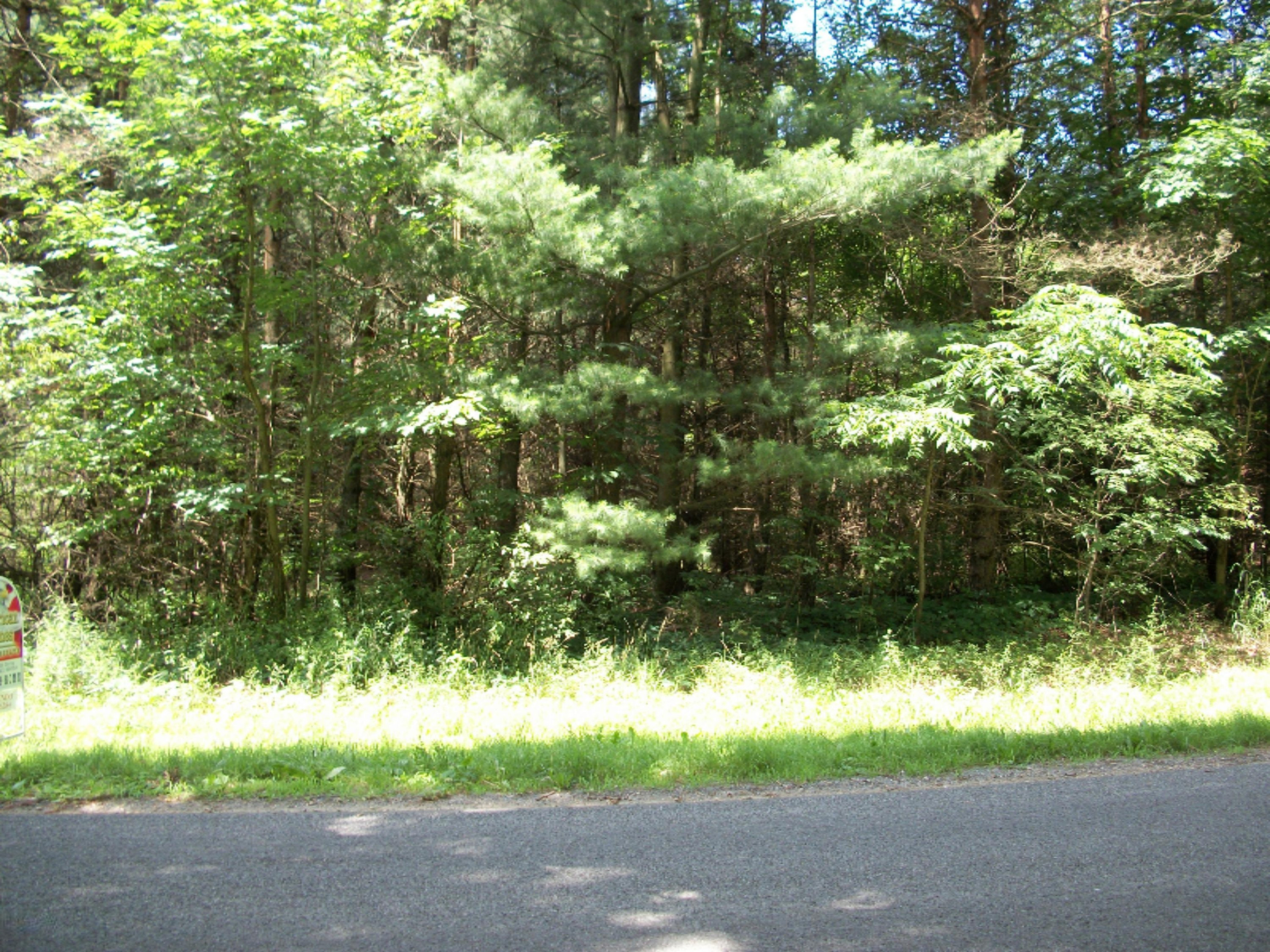 Johnson Road Coloma, MI 49038 - Photo 3 of 3 100_0841