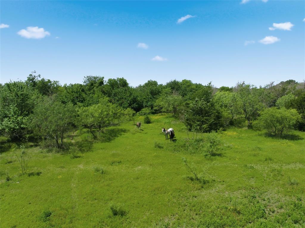663 North Katy Road Elm Mott, TX 76640 - Photo 8 of 25 Green pastureland with scattered trees and dense perimeter foliage