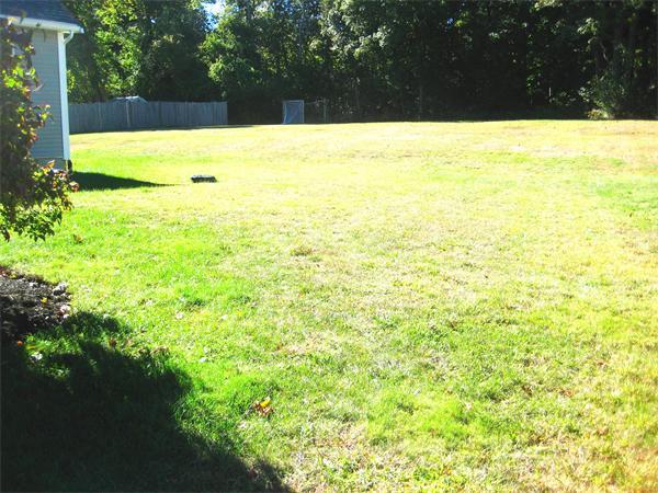 6 Colby Road Danvers, MA 01923 - Photo 4 of 21 a view of yard with swimming pool and trees