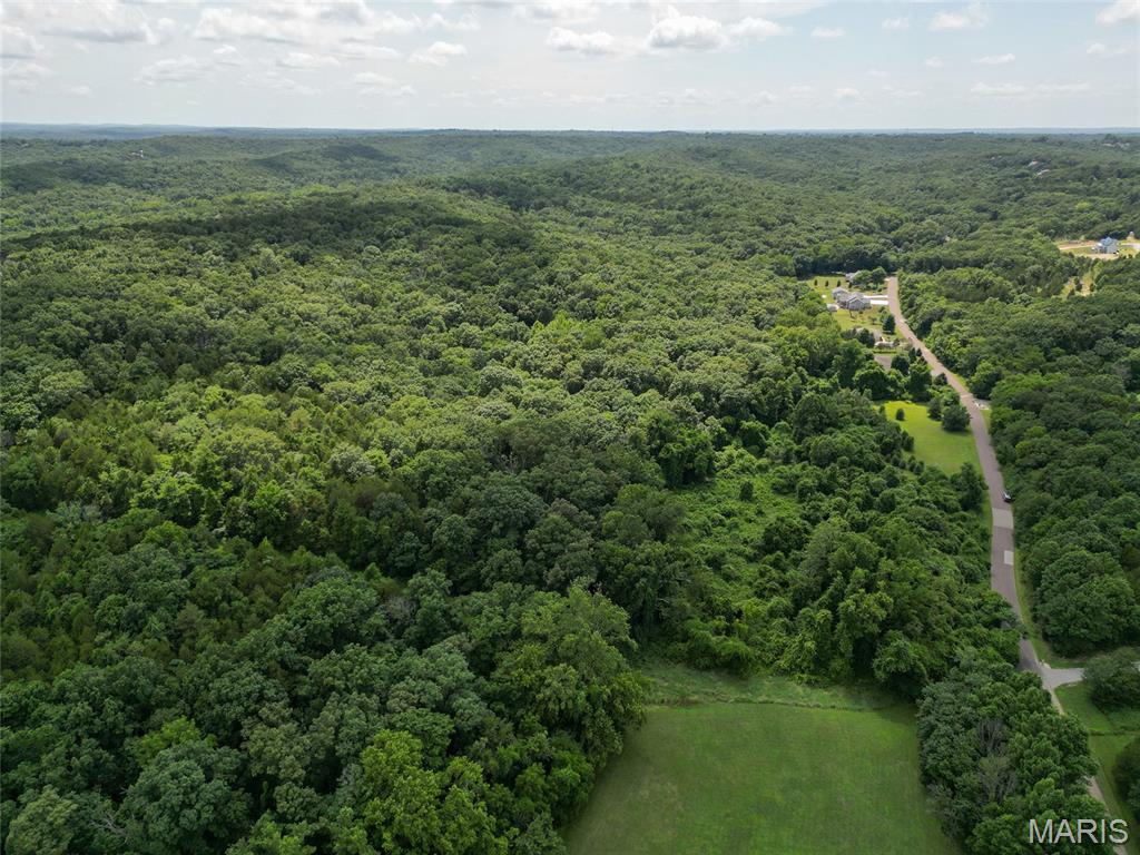 1960 Sugar Springs Road Festus, MO 63028 - Photo 11 of 11