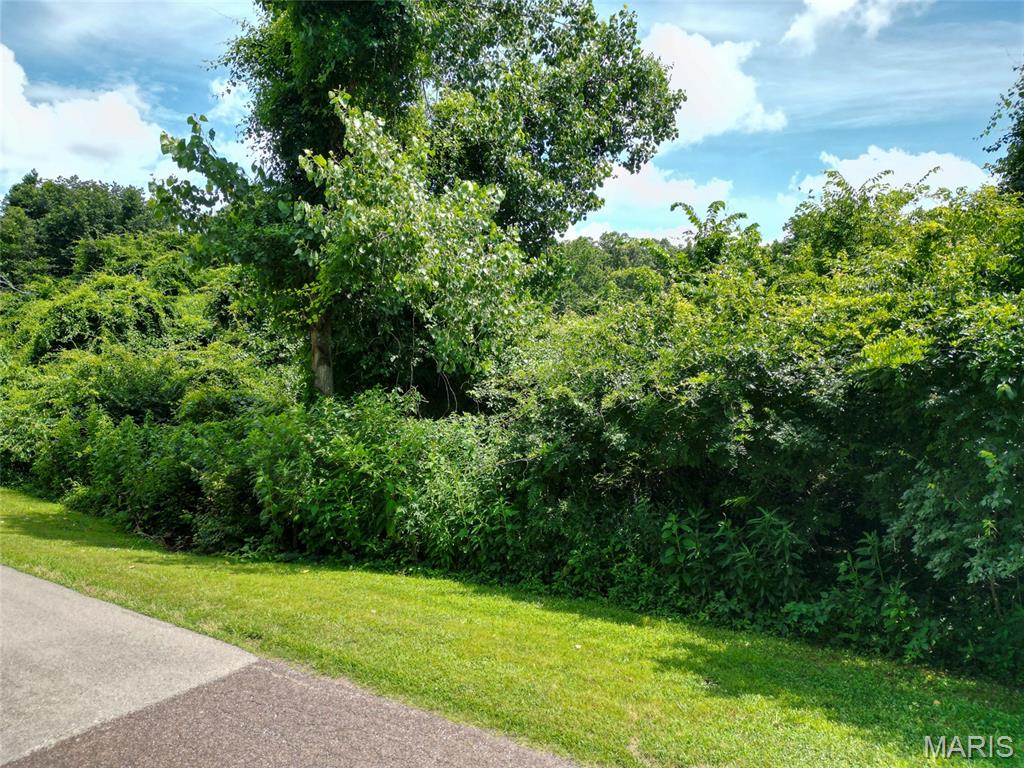 1960 Sugar Springs Road Festus, MO 63028 - Photo 2 of 11