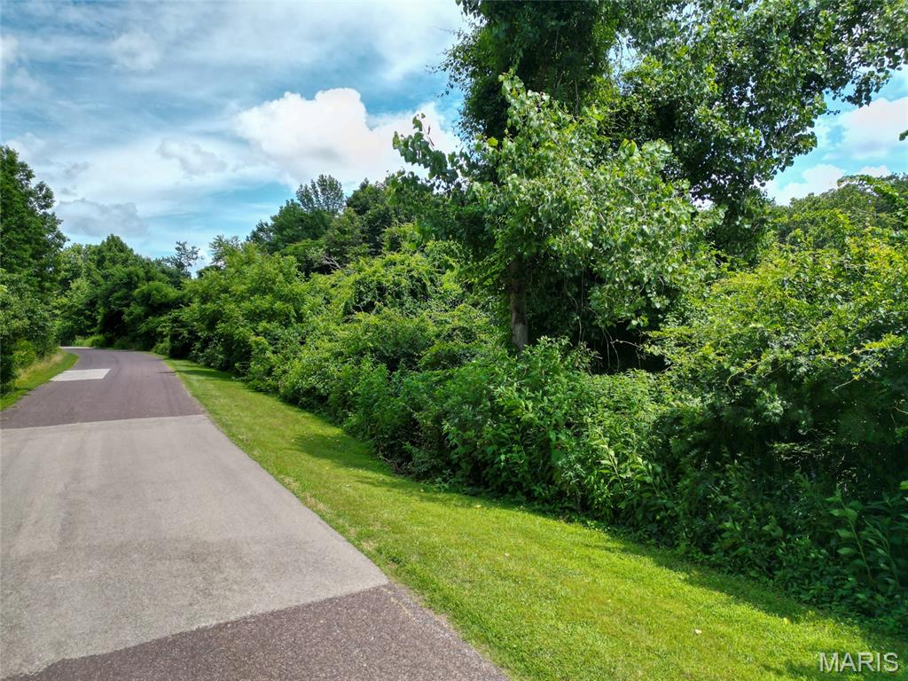 1960 Sugar Springs Road Festus, MO 63028 - Photo 3 of 11