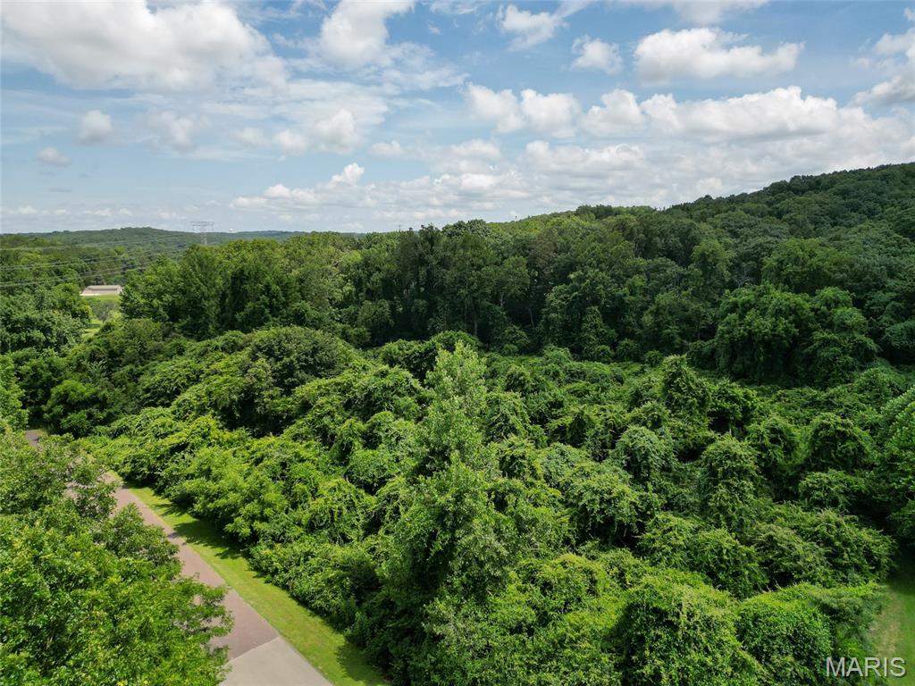 1960 Sugar Springs Road Festus, MO 63028 - Photo 4 of 11