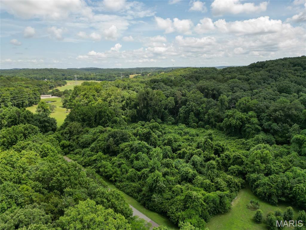 1960 Sugar Springs Road Festus, MO 63028 - Photo 5 of 11