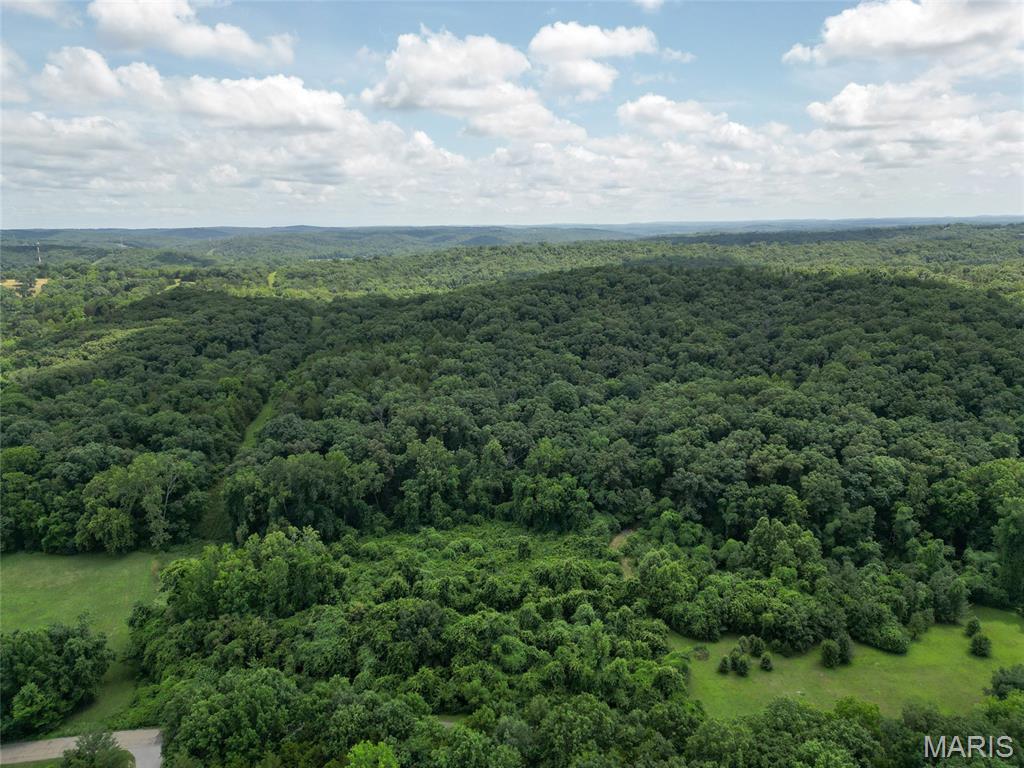 1960 Sugar Springs Road Festus, MO 63028 - Photo 6 of 11