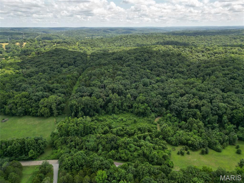 1960 Sugar Springs Road Festus, MO 63028 - Photo 7 of 11