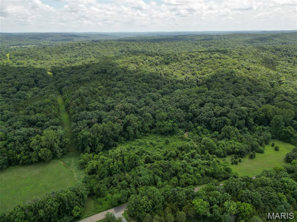 1960 Sugar Springs Road Festus, MO 63028 - Photo 8 of 11