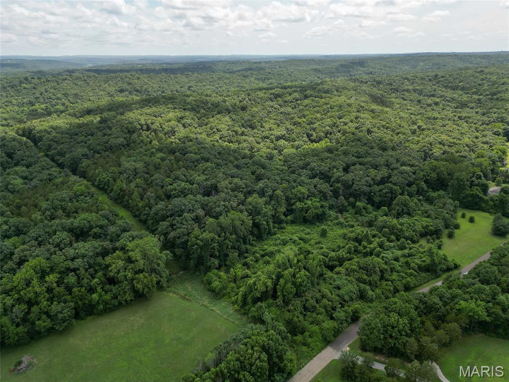 1960 Sugar Springs Road Festus, MO 63028 - Photo 9 of 11
