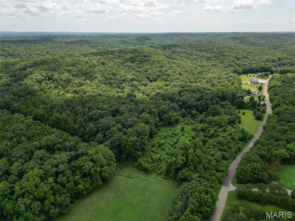 1960 Sugar Springs Road Festus, MO 63028 - Photo 10 of 11