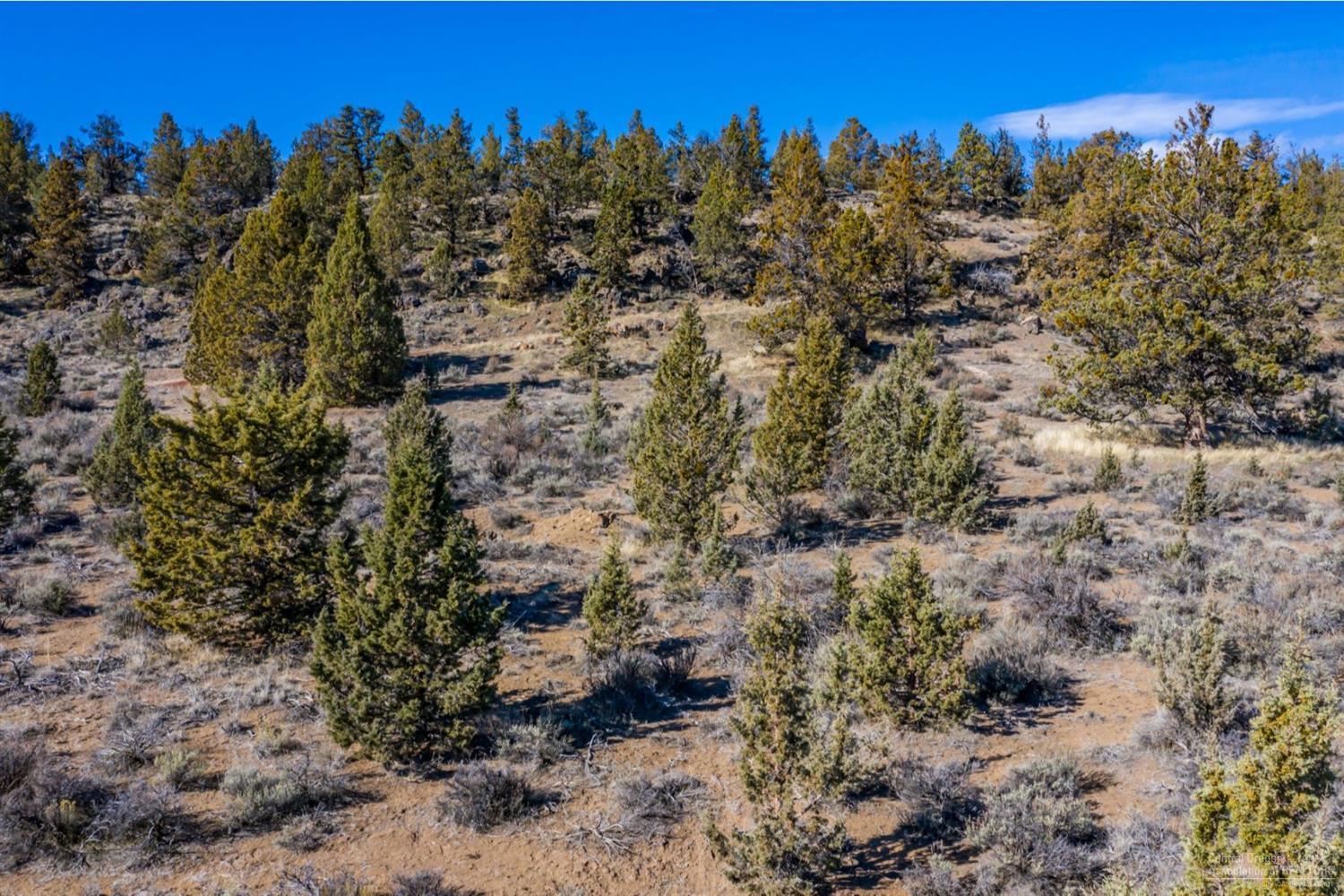65233 Smokey Butte Road Bend, OR 97703 - Photo 9 of 15 Additional Photo