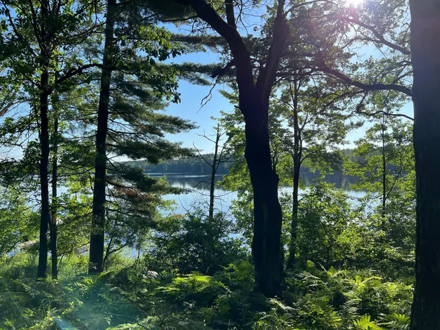 $284,900 | W76-xx W76-xx Chicog Lake Estate Road, Trego, WI 54888