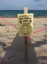 3236 Northeast 5th Street, Unit 402 Pompano Beach, FL 33062 - Photo 28 of 29 Photo 28