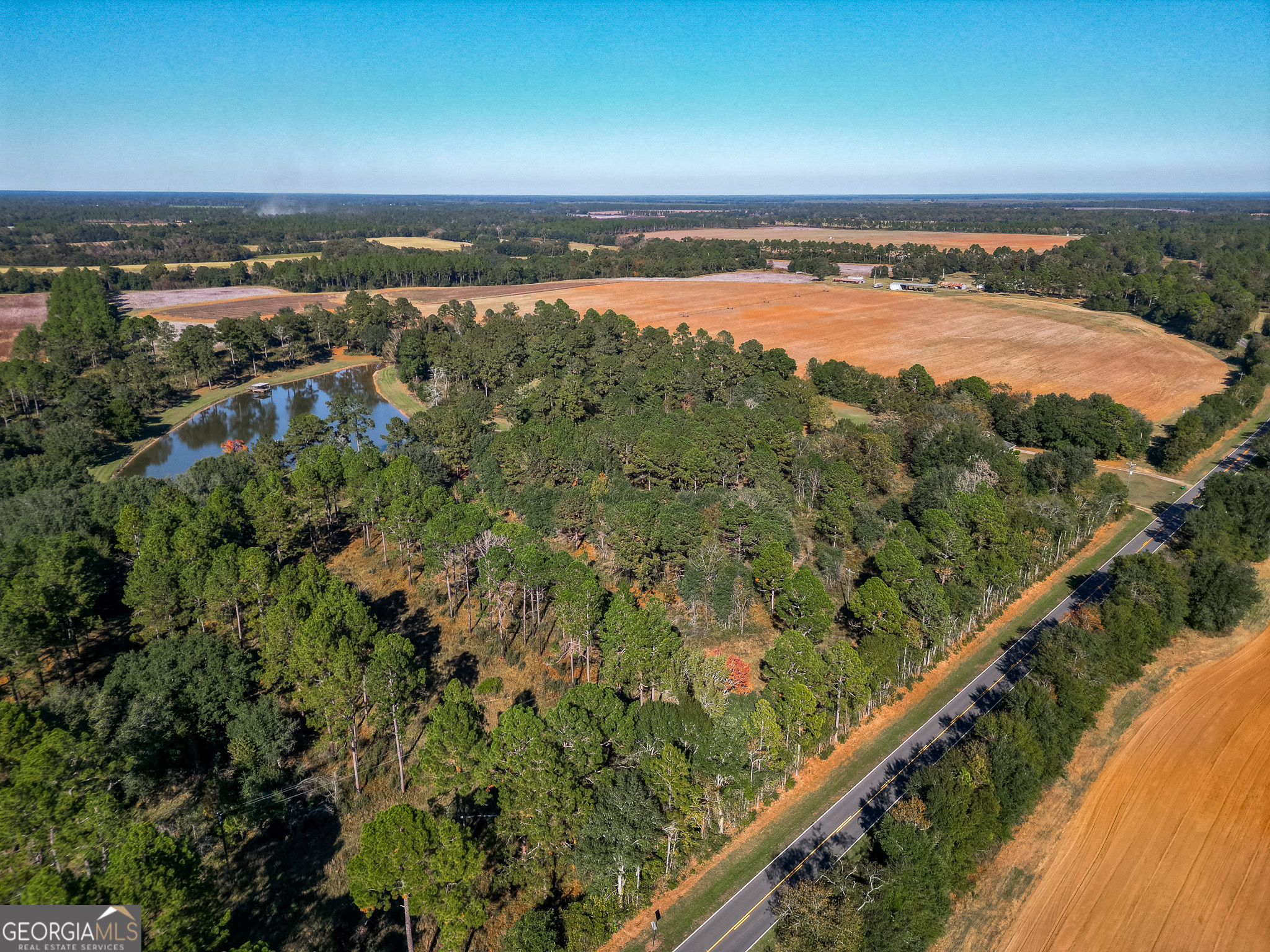 0 New York Road Leesburg, GA 31763 - Photo 2 of 19 a view of a lake with a mountain