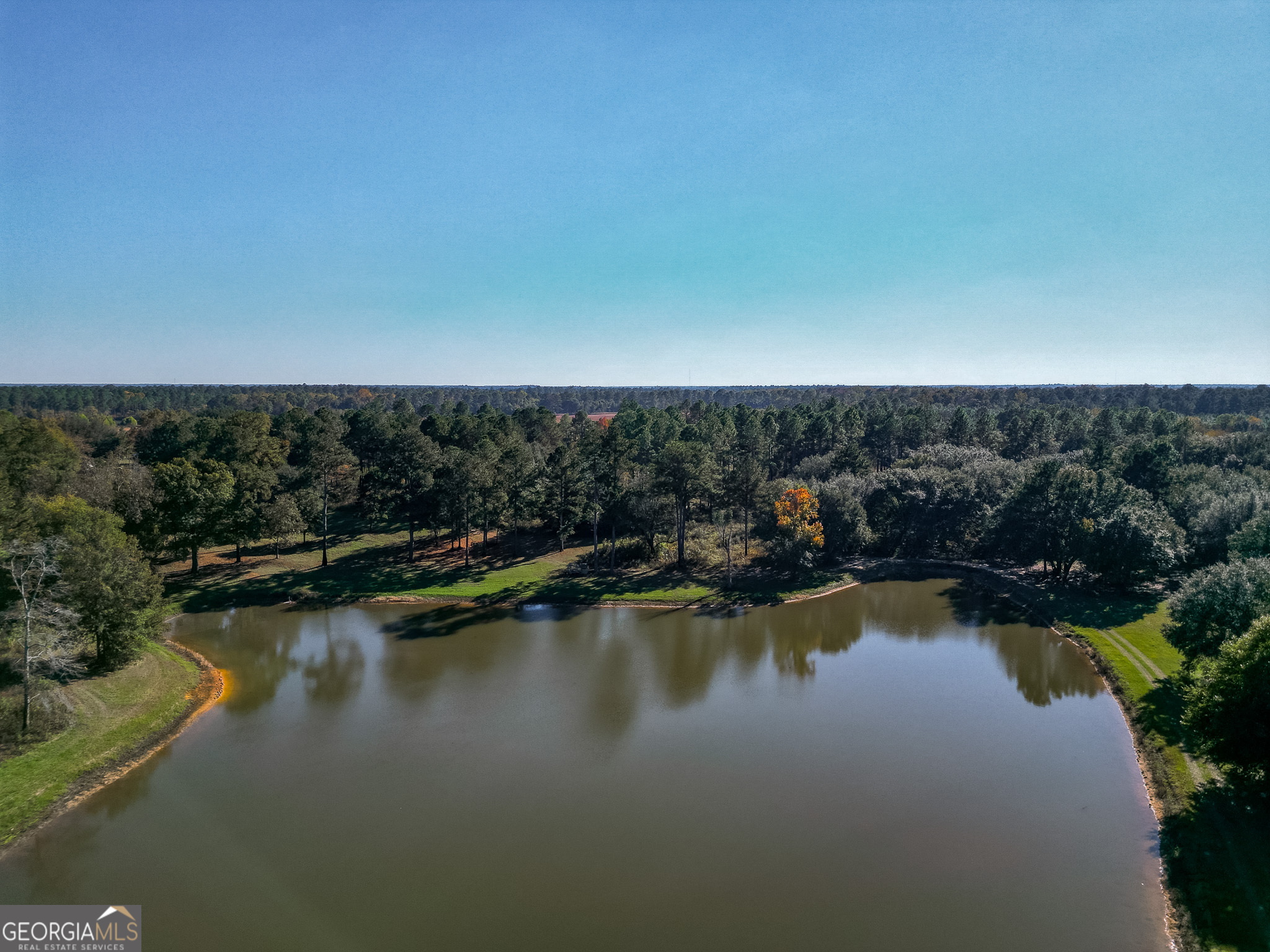 0 New York Road Leesburg, GA 31763 - Photo 6 of 19